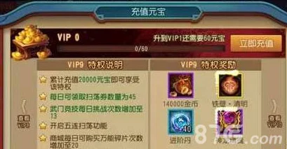 宏图传世VIP价格全解析：满级特权费用详细一览
